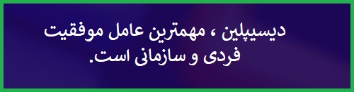 دیسیپلین